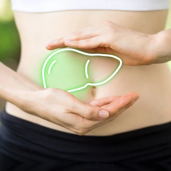 moters pilvas ir kepenų ikonėlė