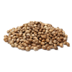 Kanapių sėklų baltymai